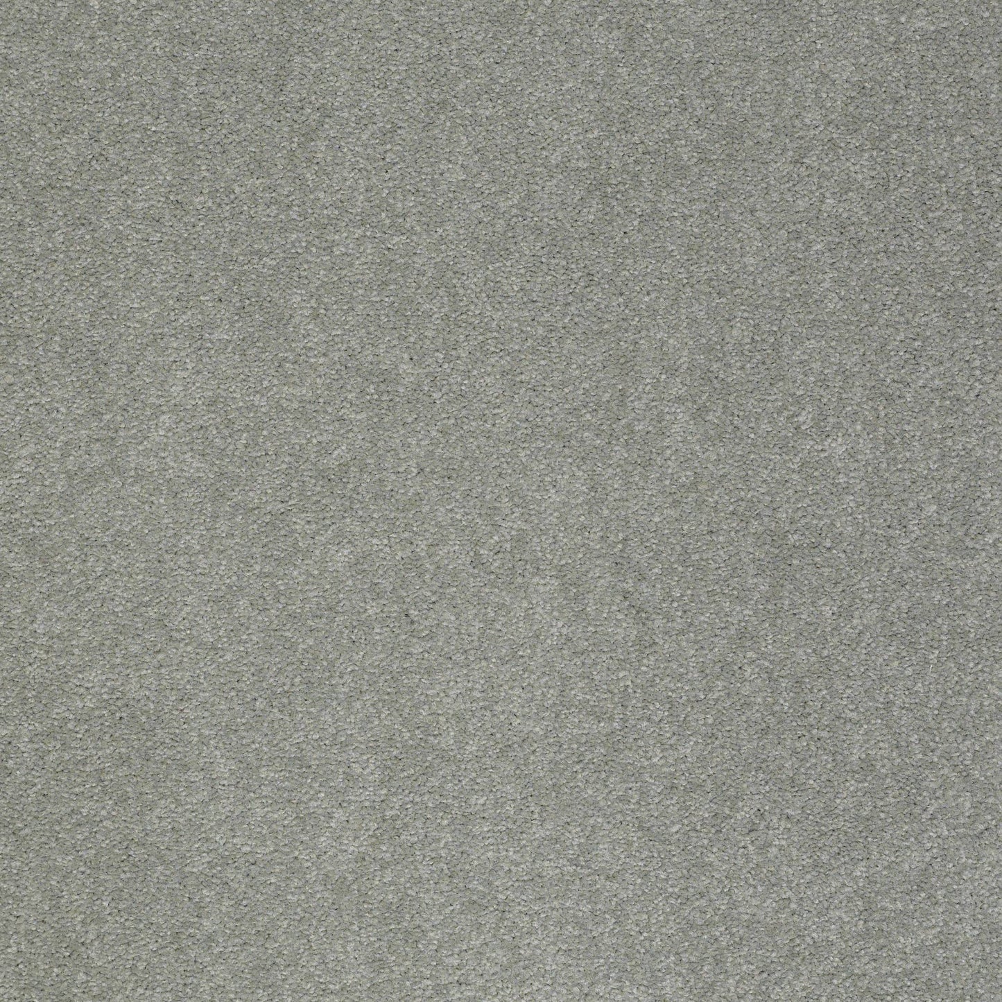 TEXTURE BCF
