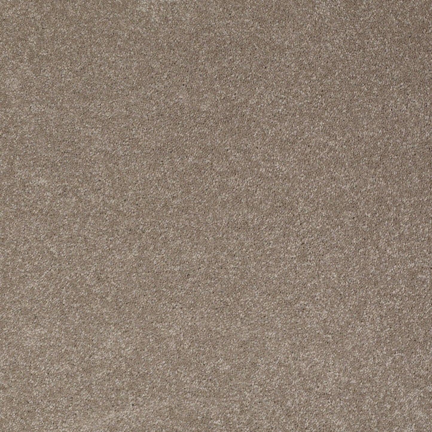 TEXTURE BCF