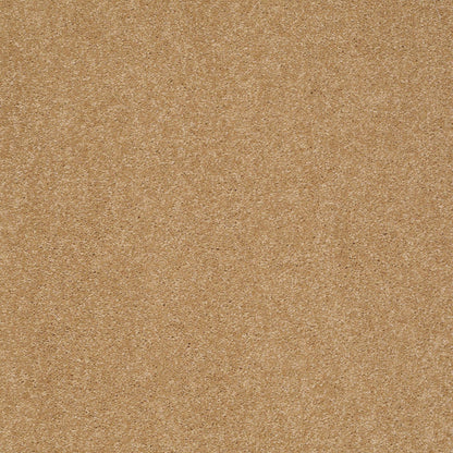 TEXTURE BCF