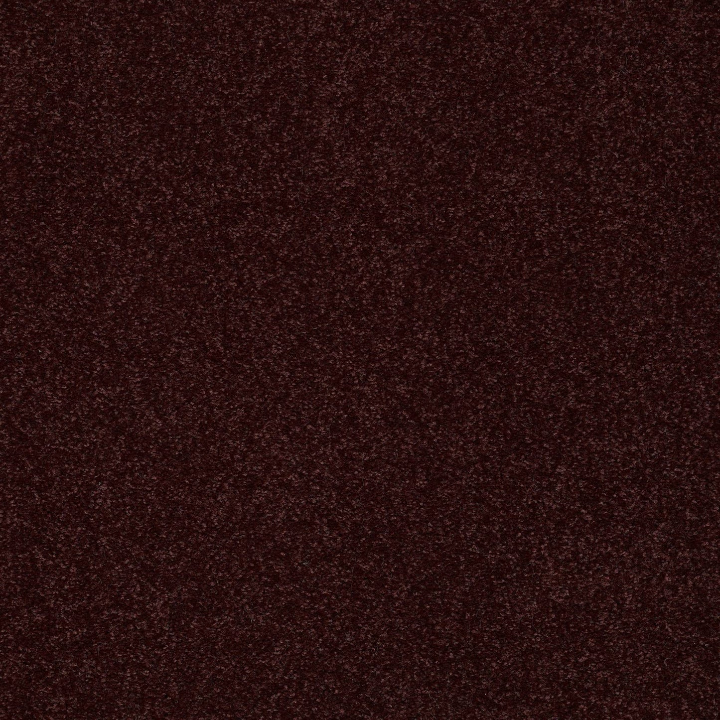 TEXTURE BCF