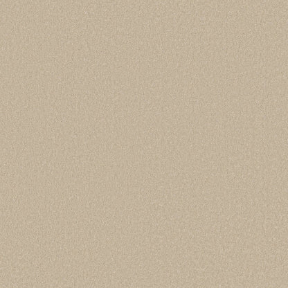TEXTURE BCF