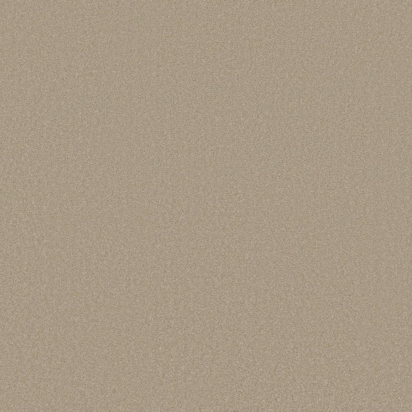 TEXTURE BCF