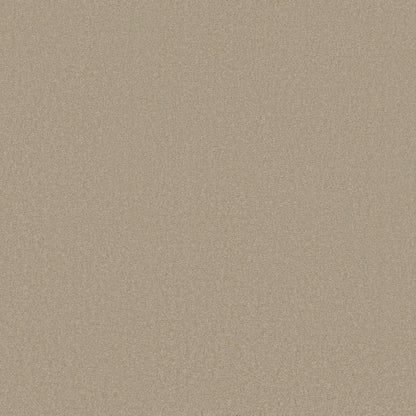 TEXTURE BCF