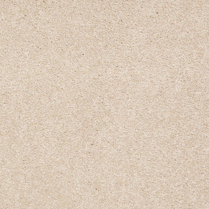 TEXTURE BCF