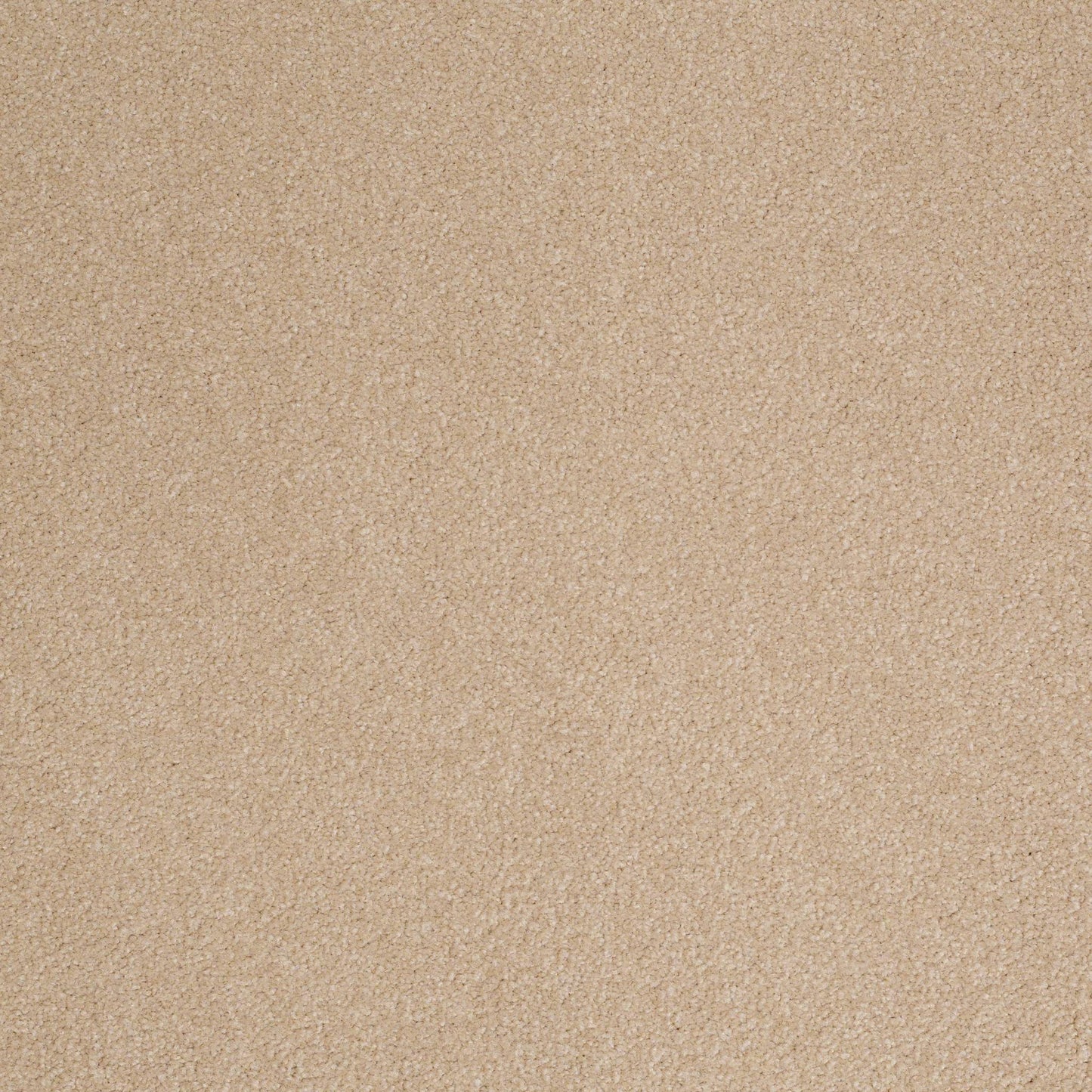 TEXTURE BCF