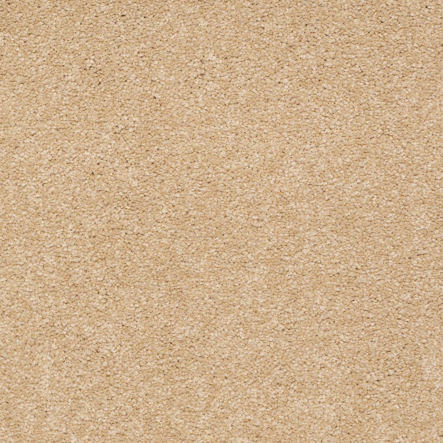 TEXTURE BCF