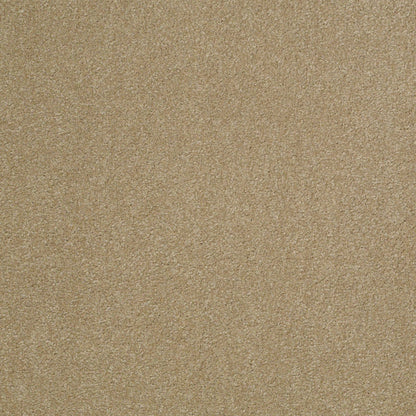 TEXTURE BCF