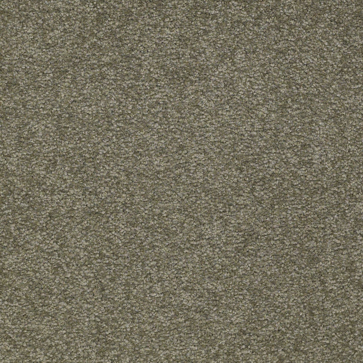 TEXTURE BCF