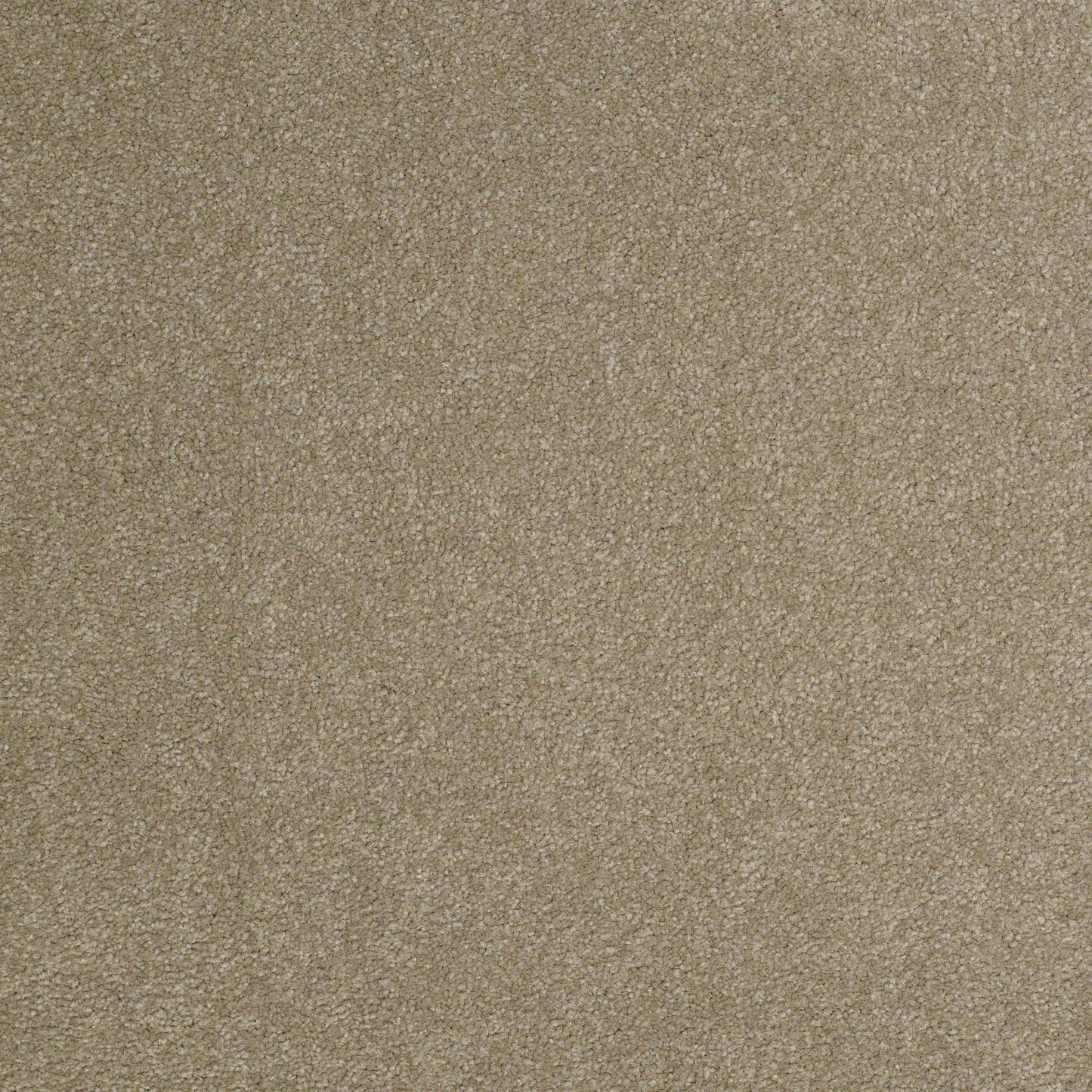 TEXTURE BCF
