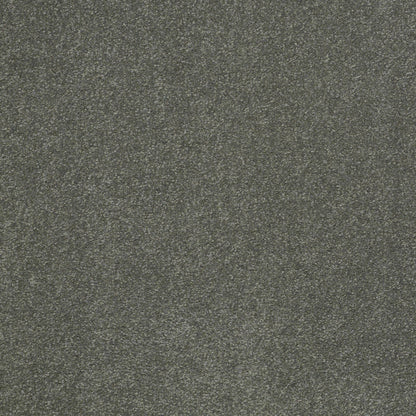 TEXTURE BCF