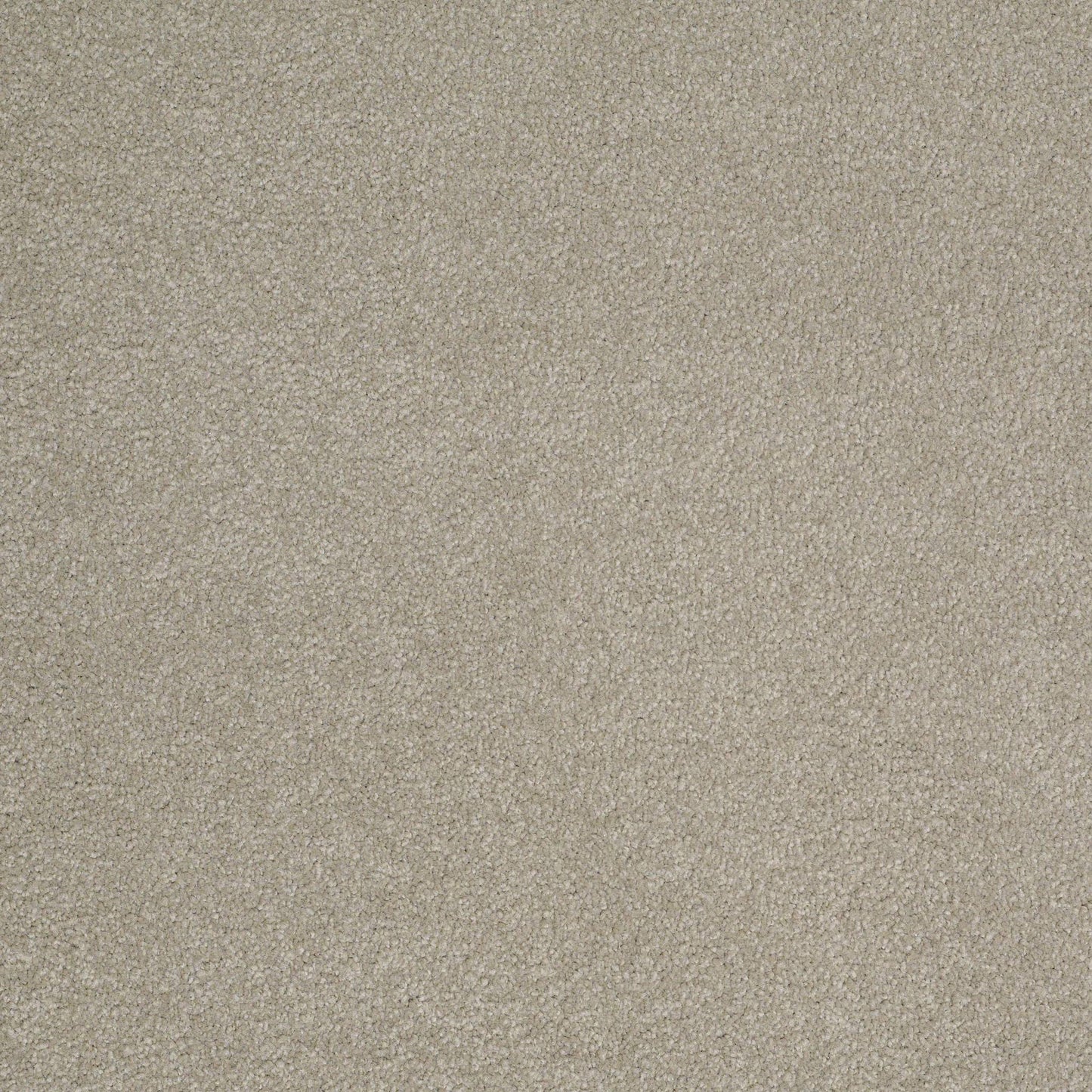 TEXTURE BCF