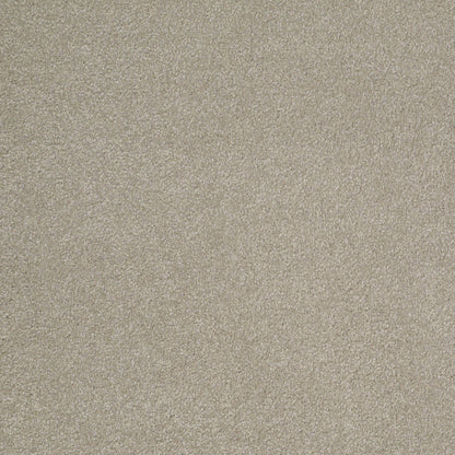 TEXTURE BCF