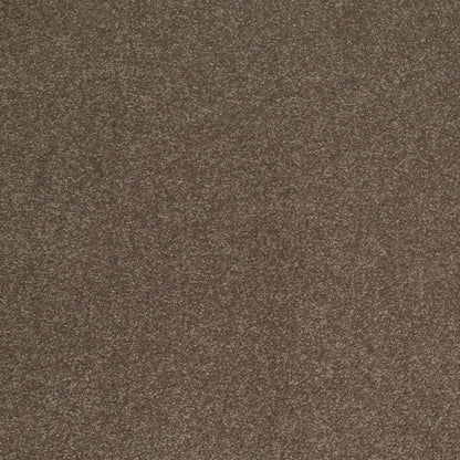 TEXTURE BCF