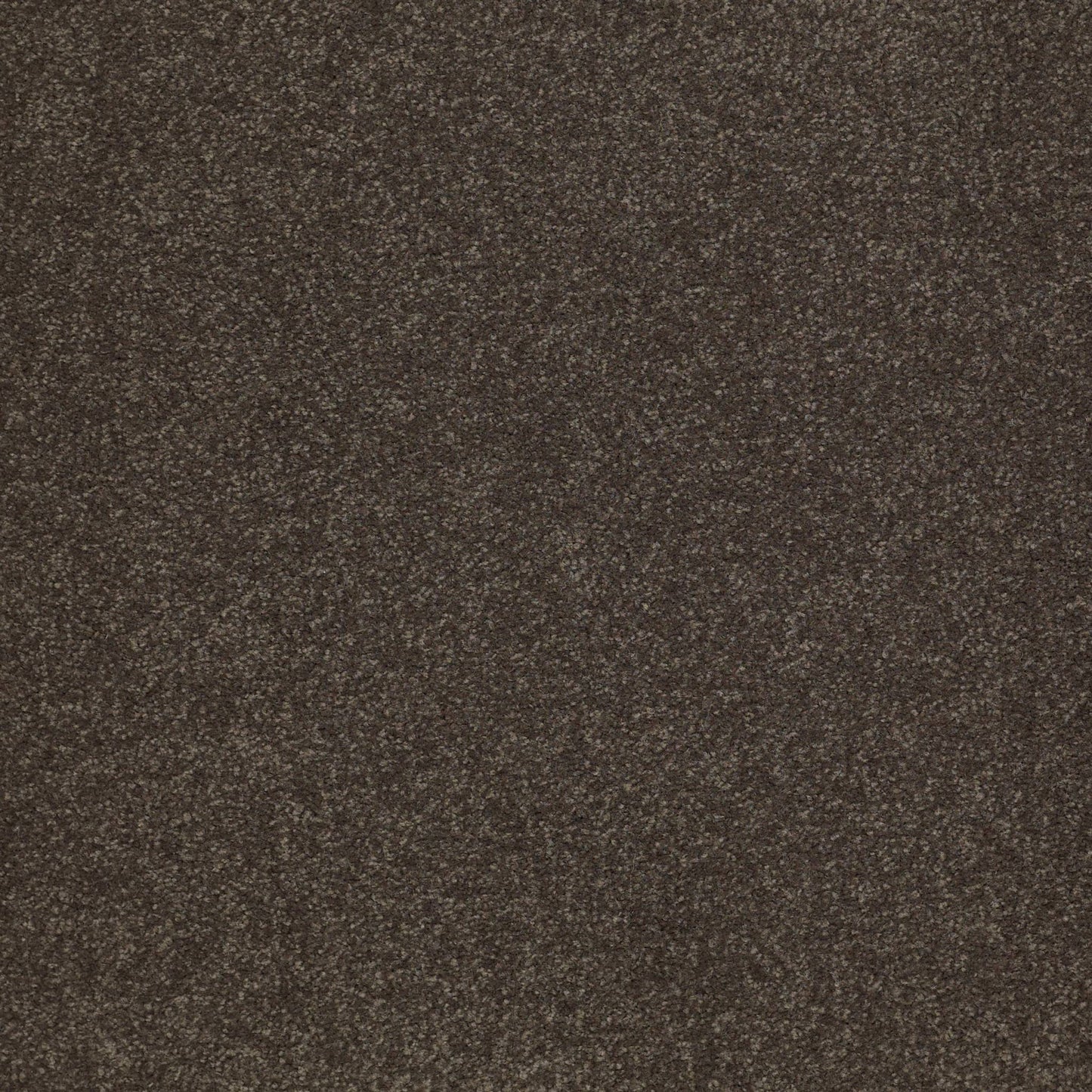 TEXTURE BCF