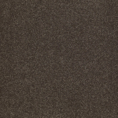 TEXTURE BCF