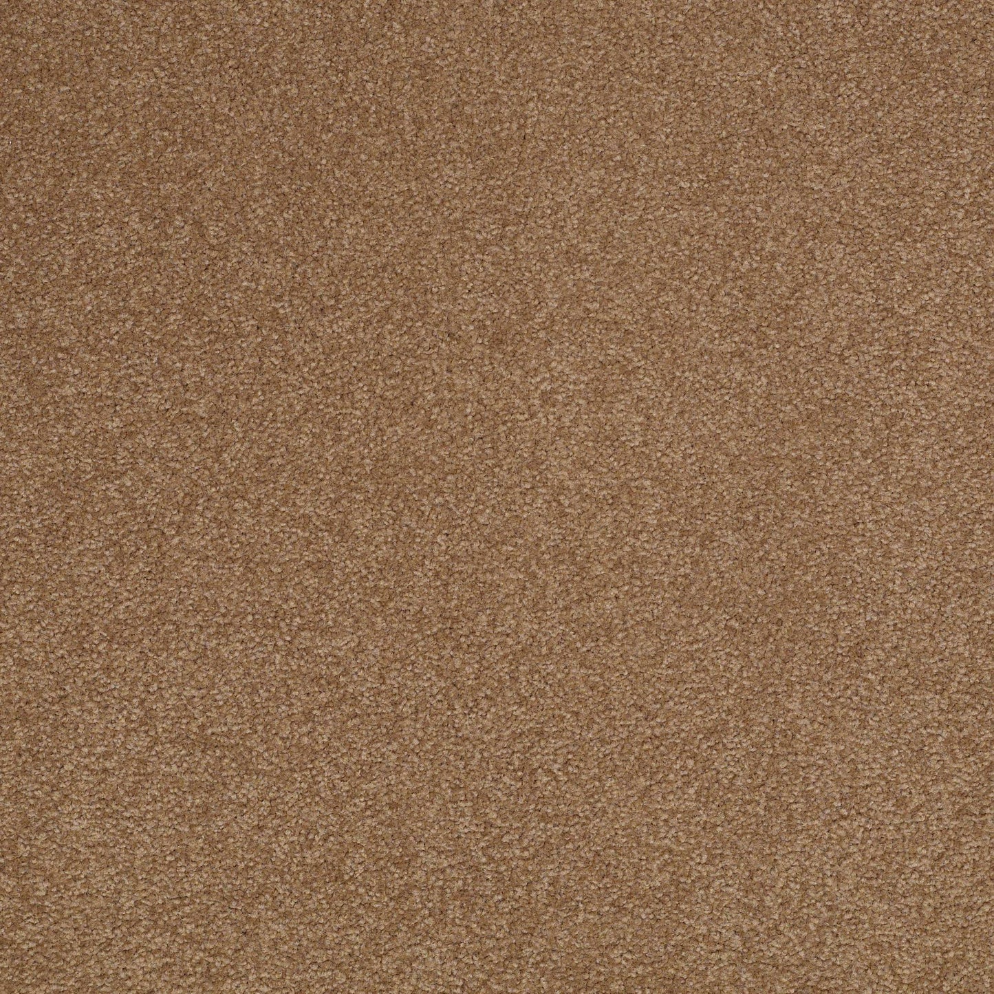 TEXTURE BCF