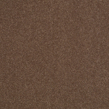 TEXTURE BCF