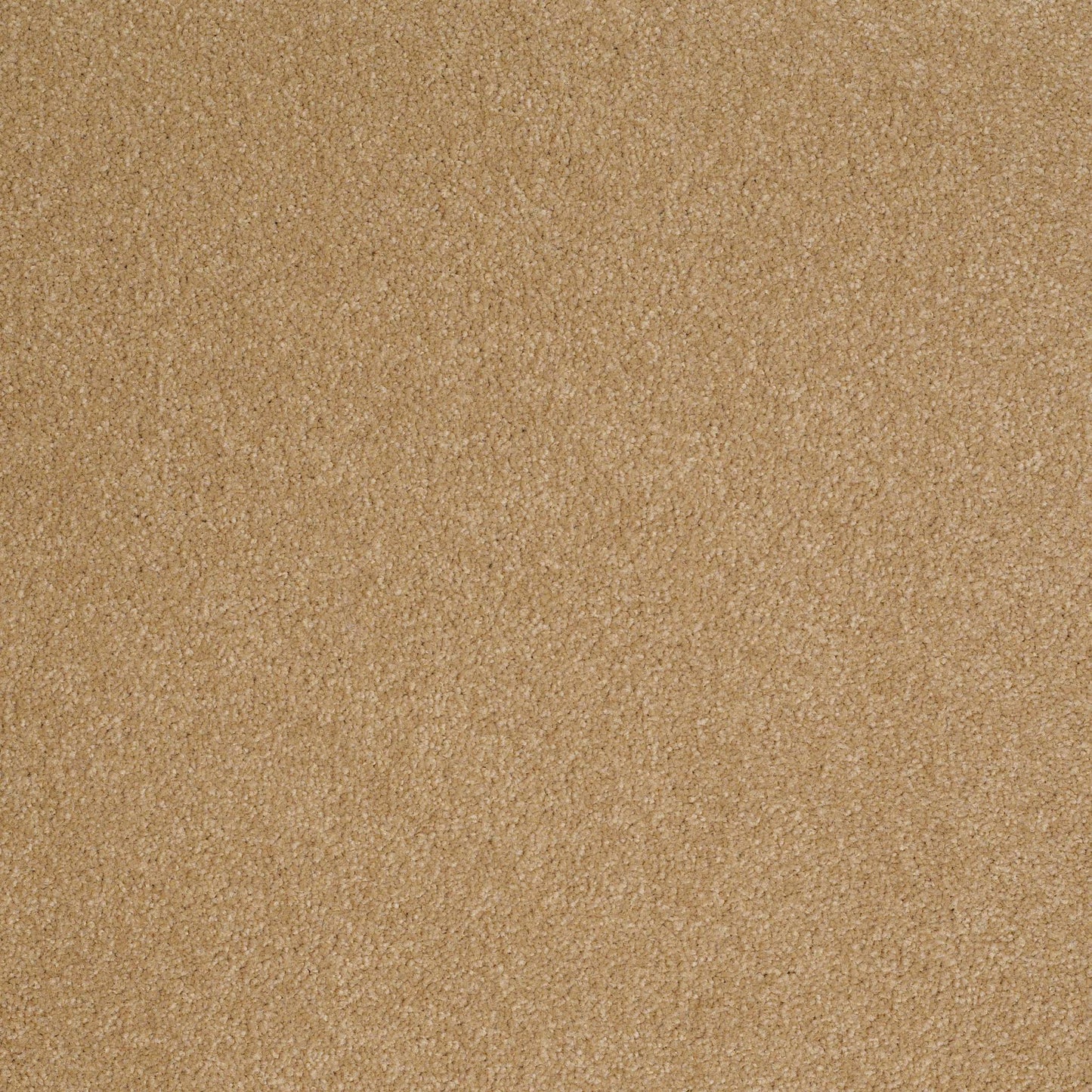 TEXTURE BCF