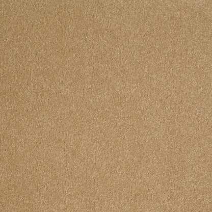 TEXTURE BCF