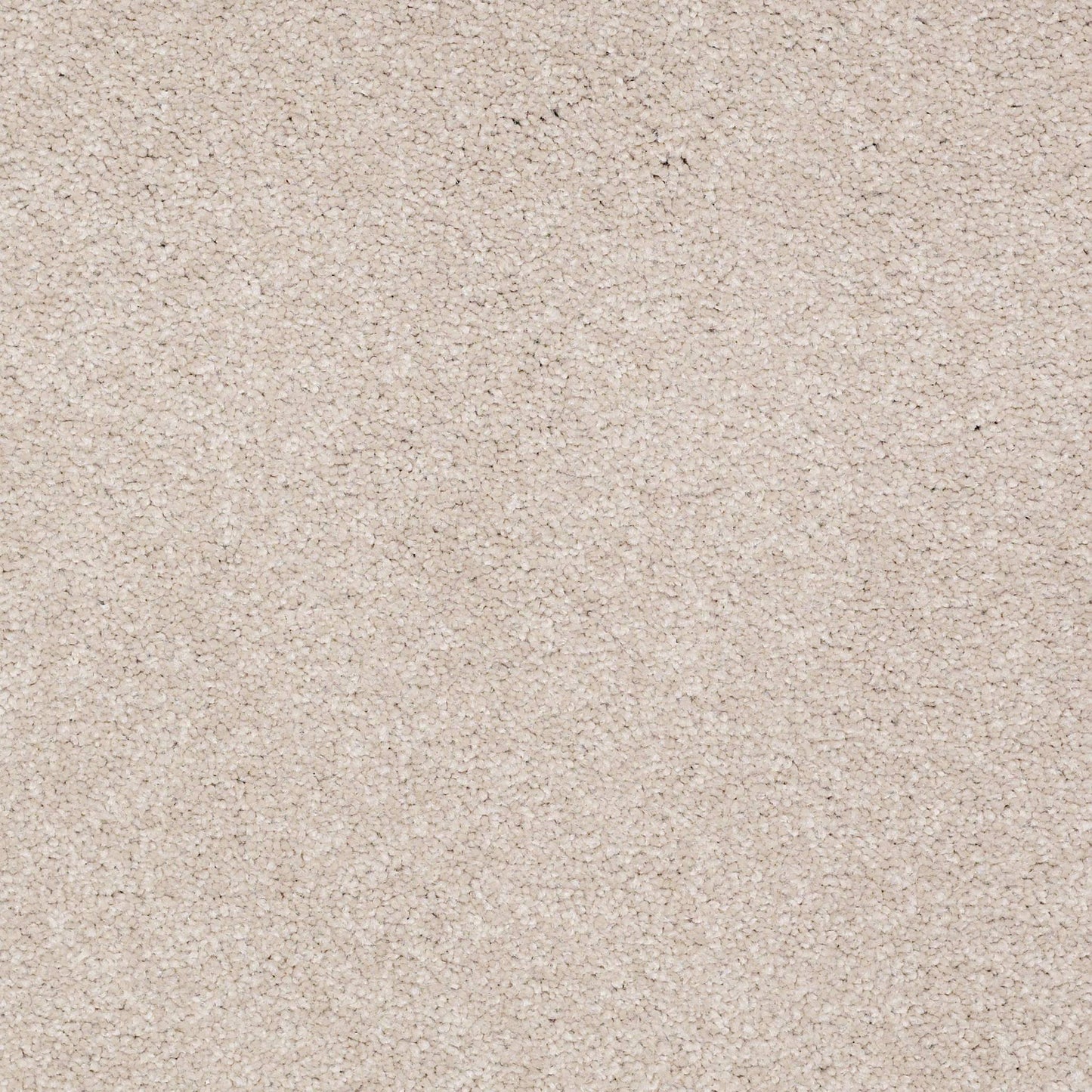 TEXTURE BCF