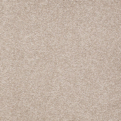 TEXTURE BCF