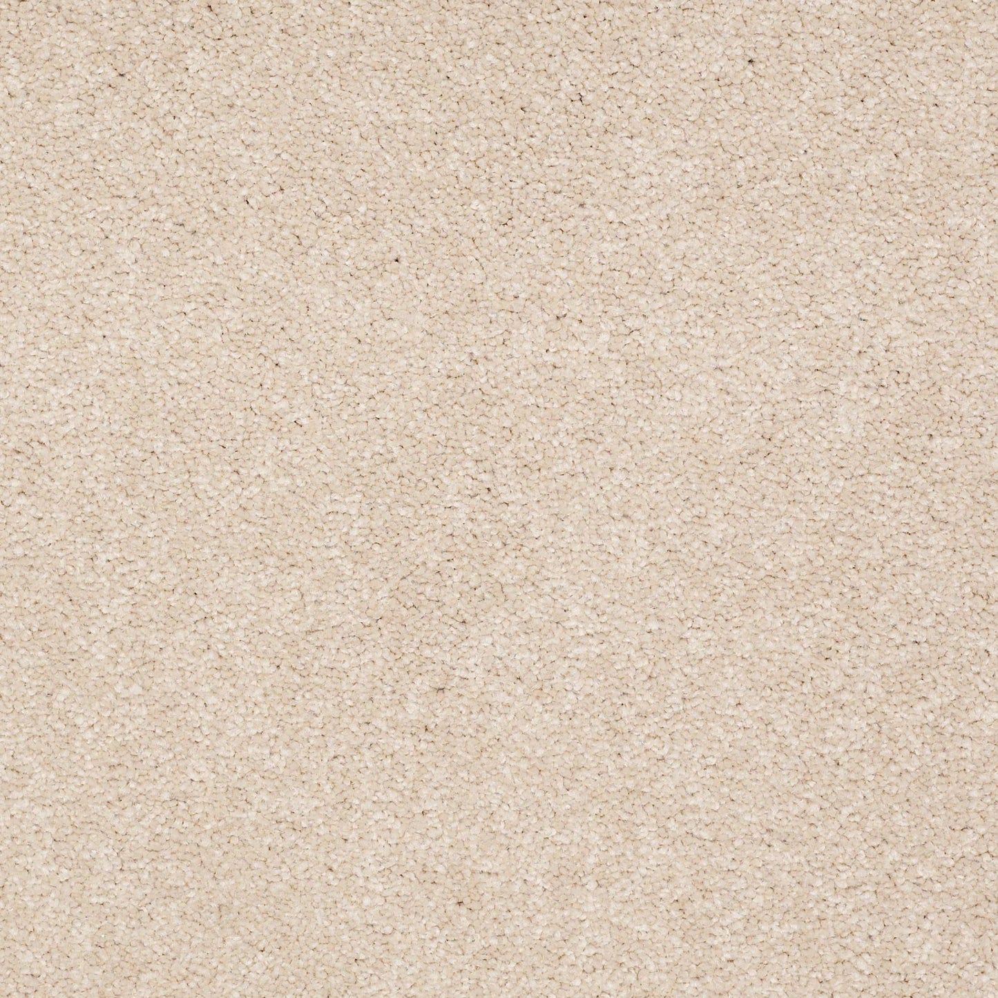 TEXTURE BCF