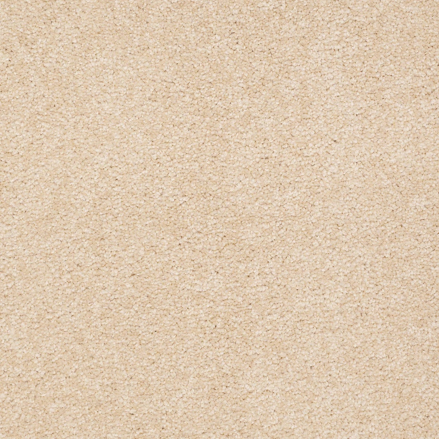 TEXTURE BCF