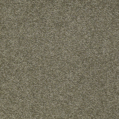 TEXTURE BCF