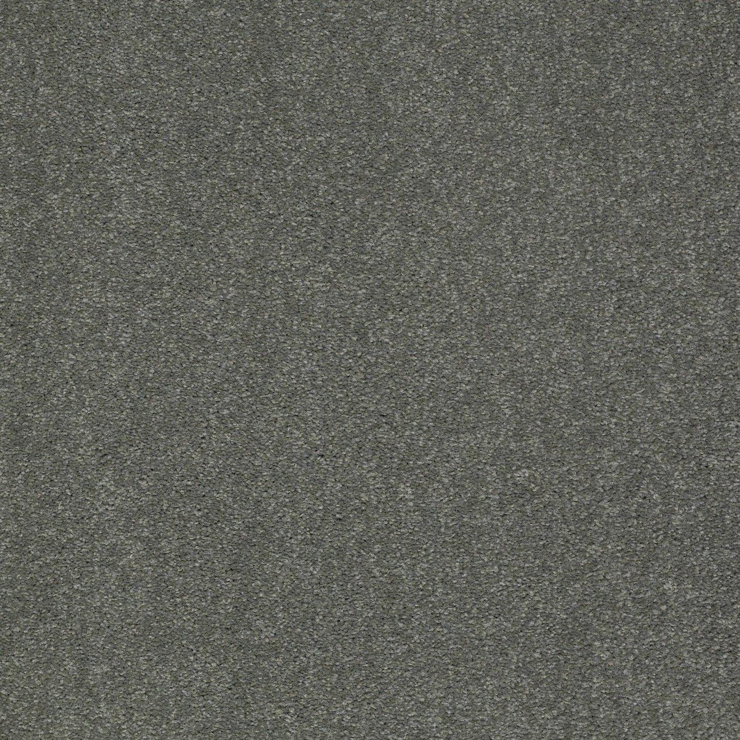 TEXTURE BCF