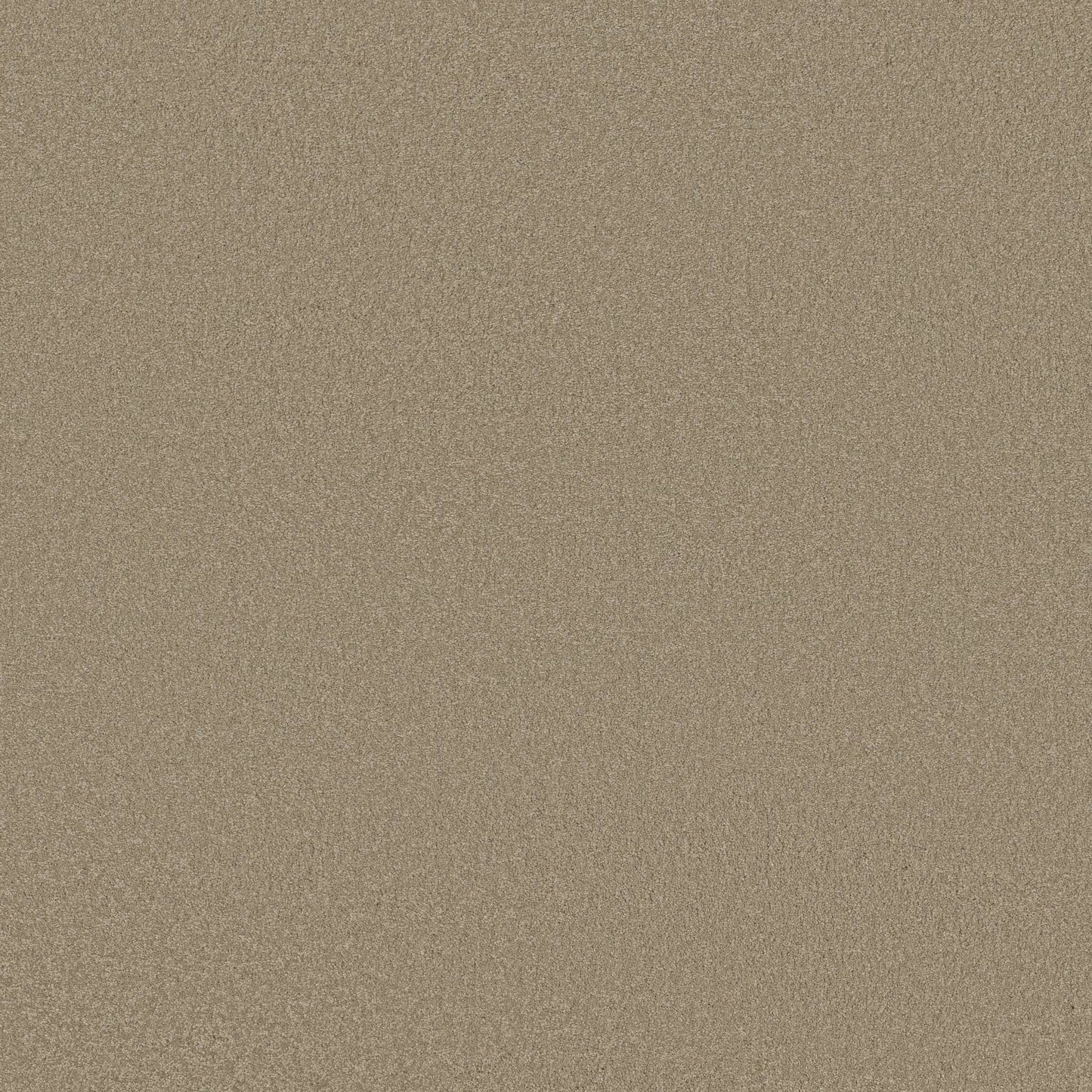 TEXTURE BCF