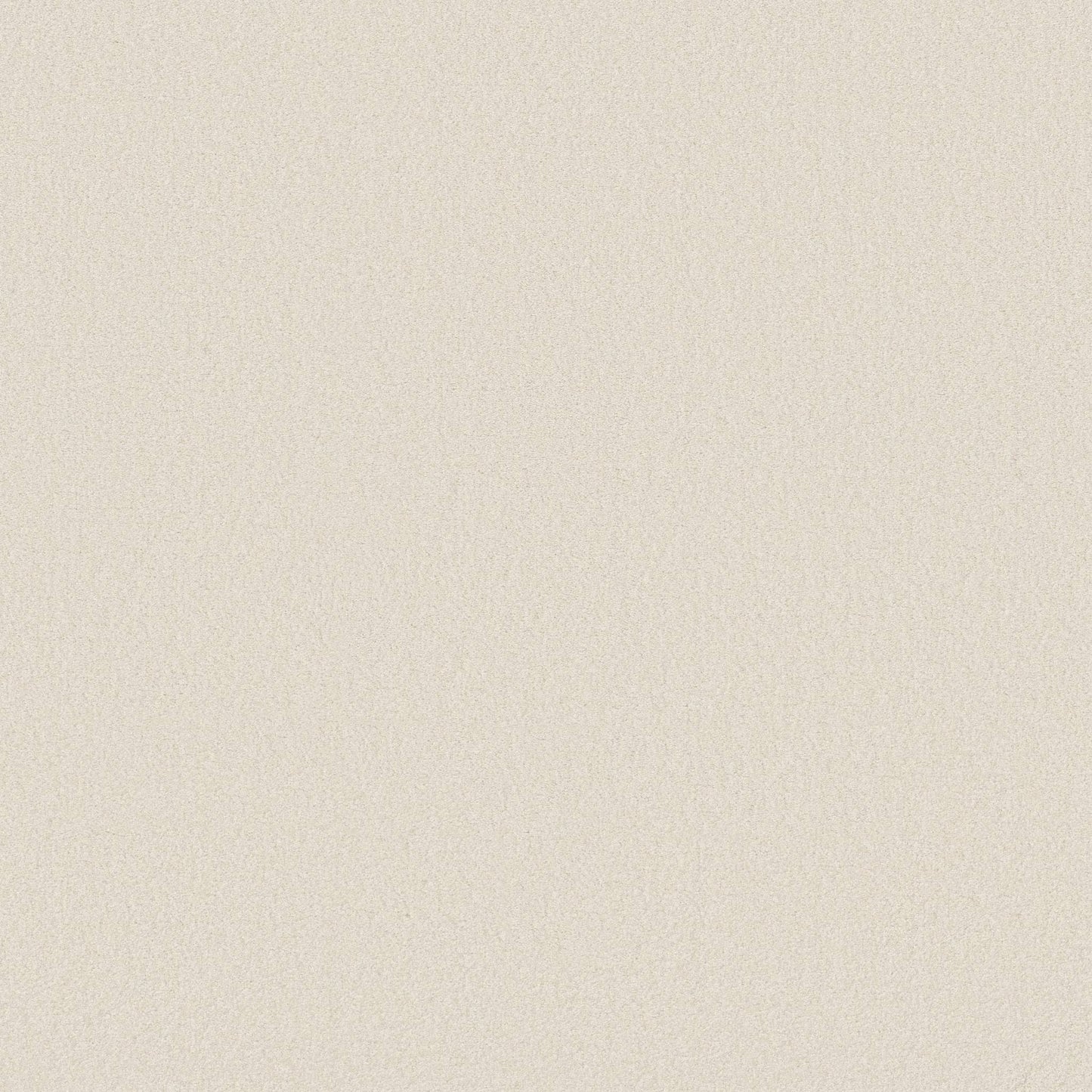 TEXTURE BCF