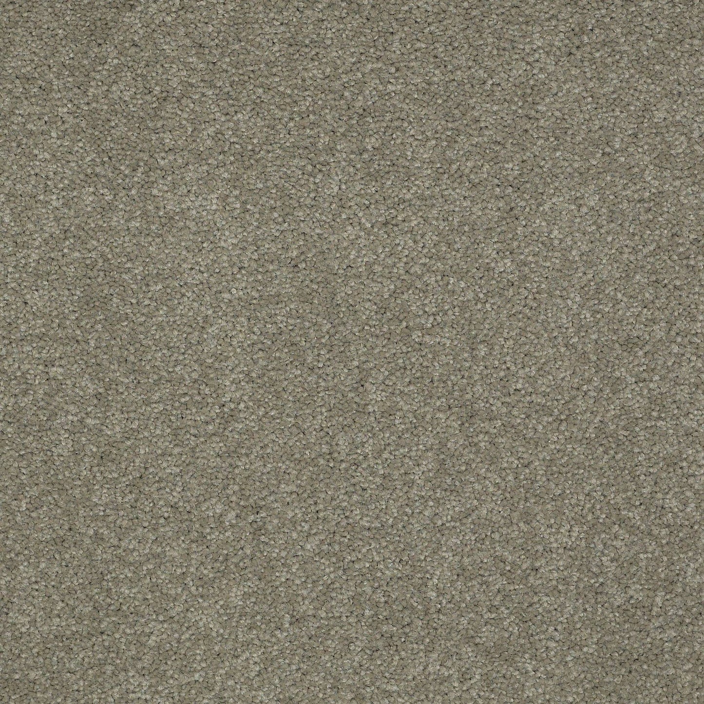 TEXTURE BCF