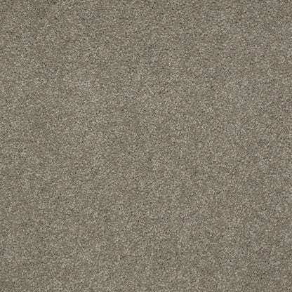 TEXTURE BCF