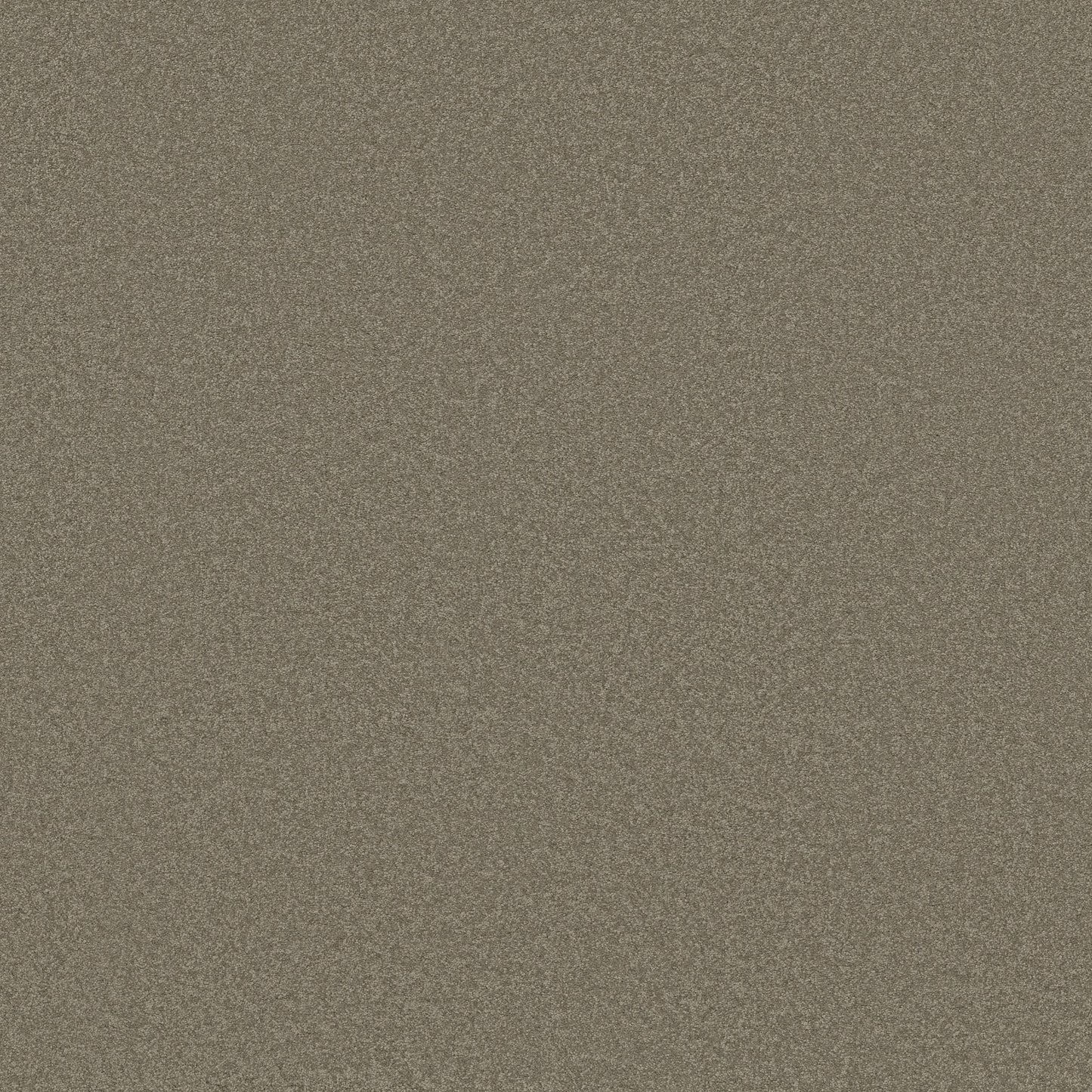 TEXTURE BCF