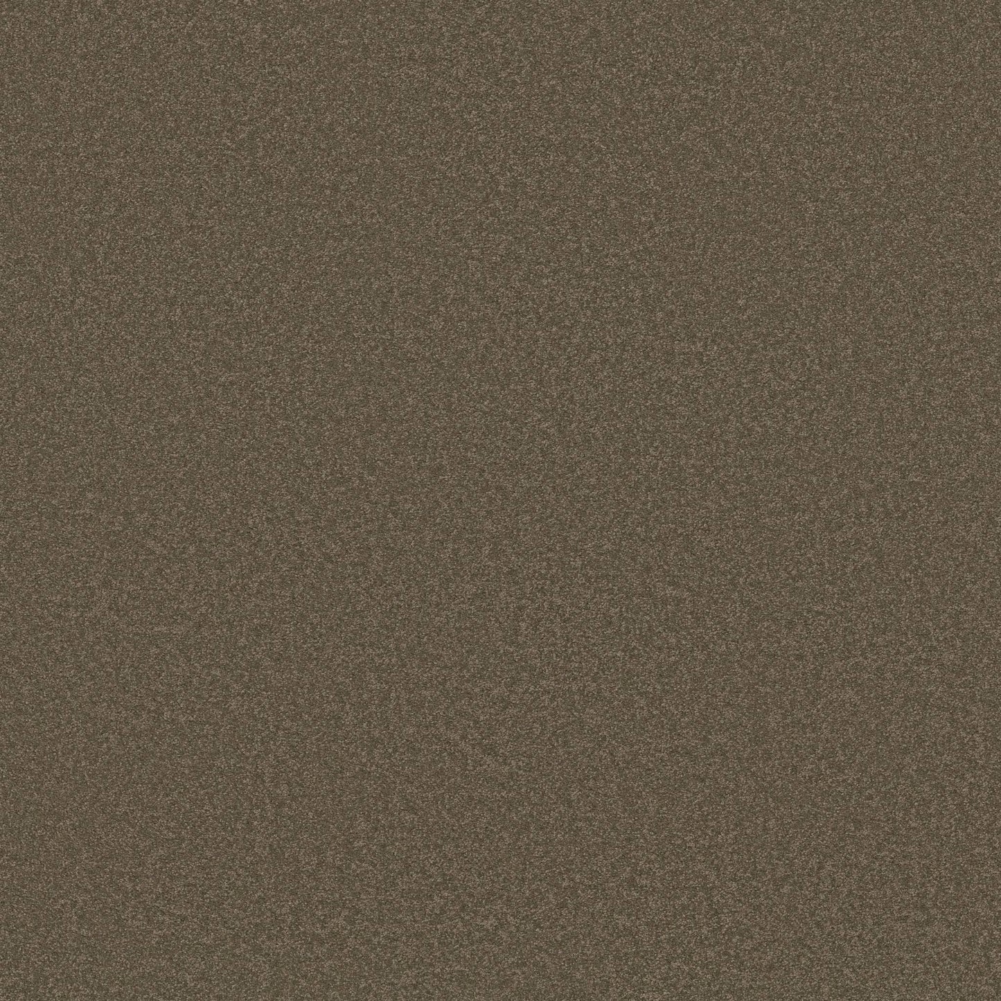 TEXTURE BCF