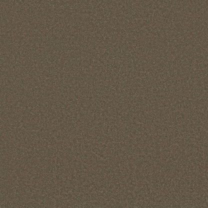 TEXTURE BCF