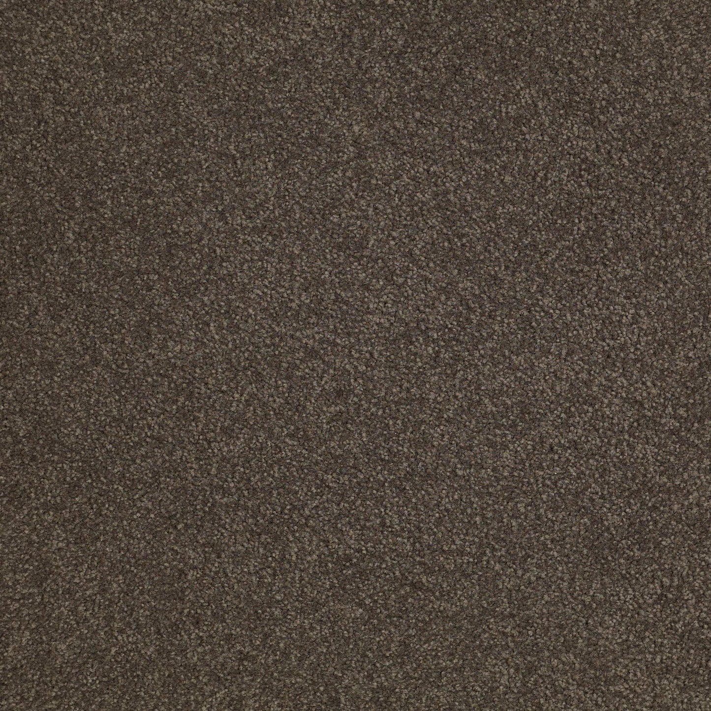 TEXTURE BCF