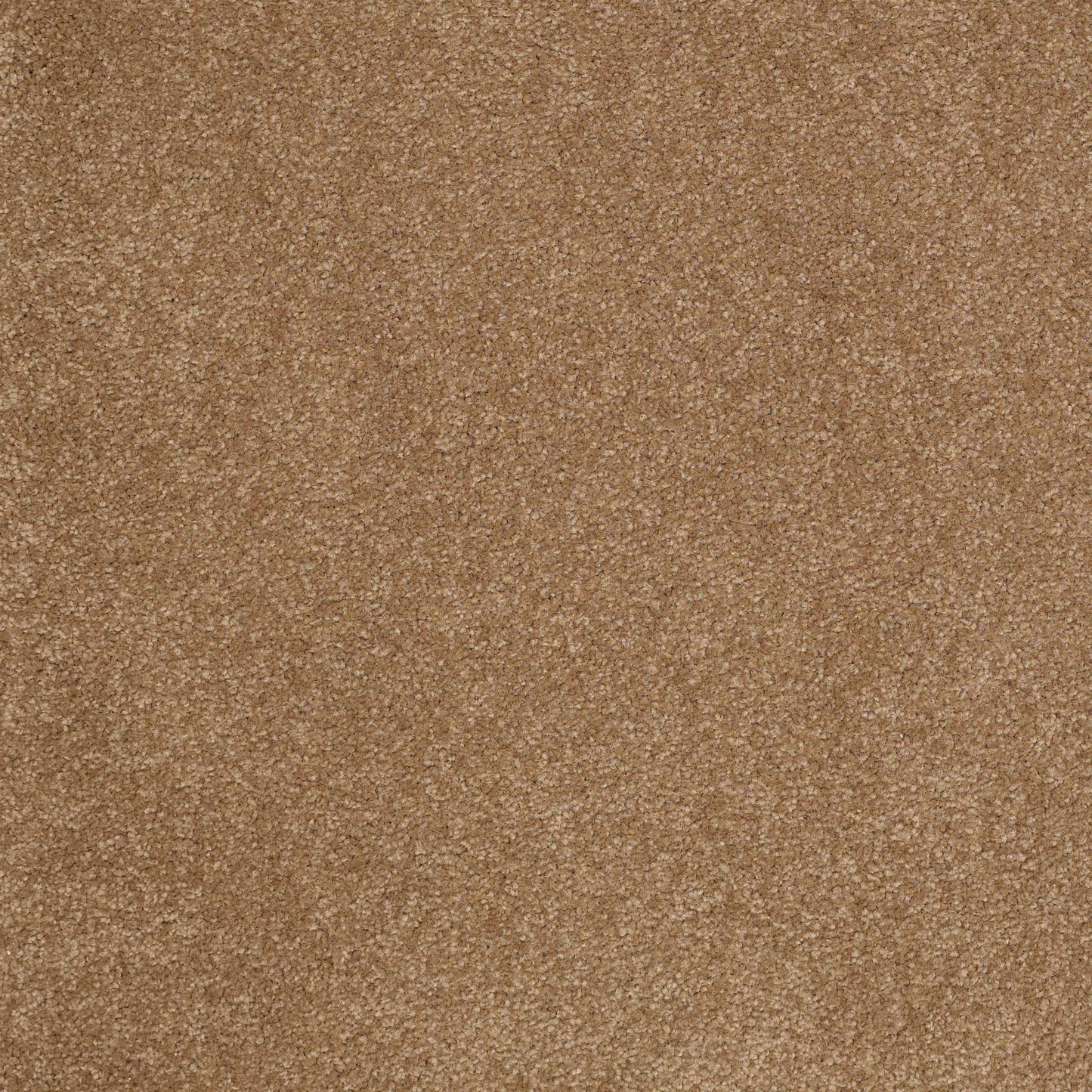 TEXTURE BCF