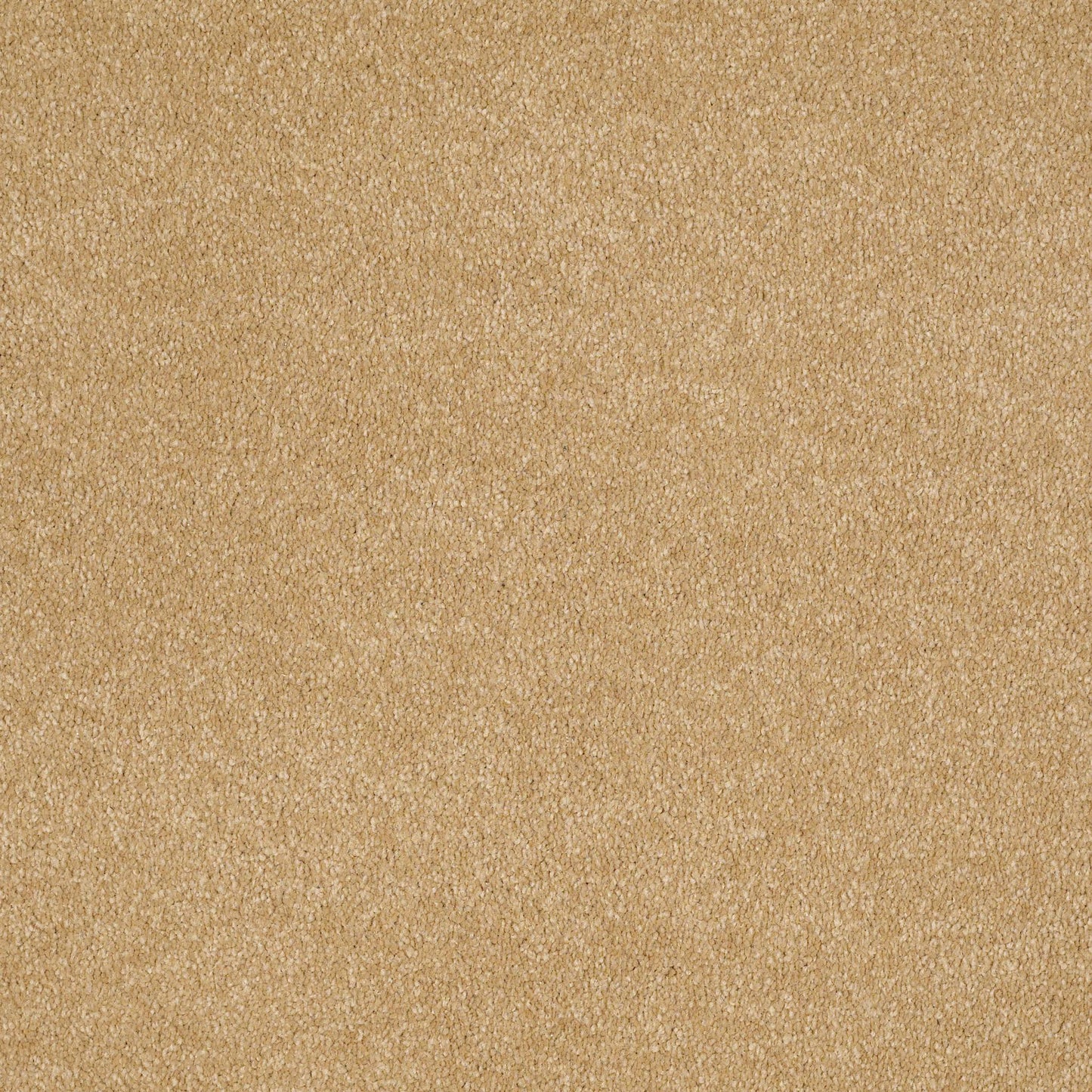 TEXTURE BCF