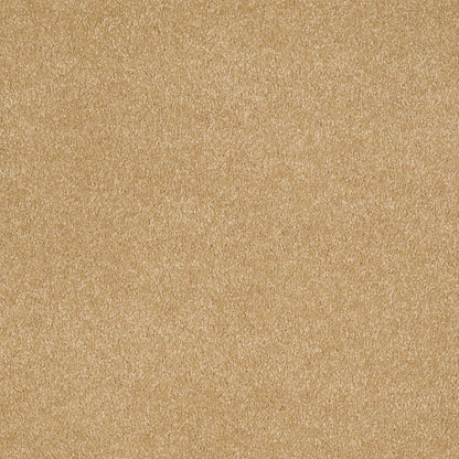 TEXTURE BCF