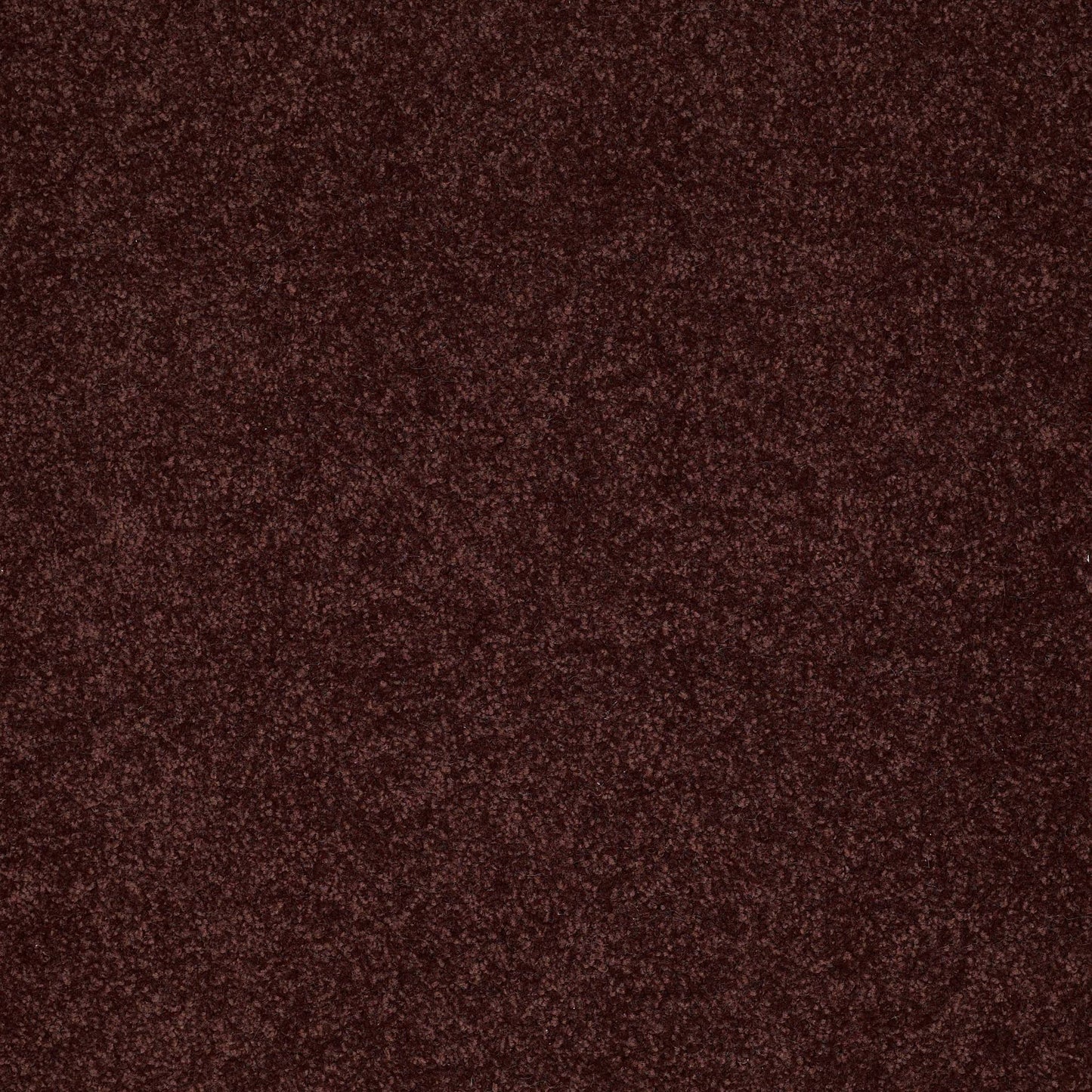 TEXTURE BCF