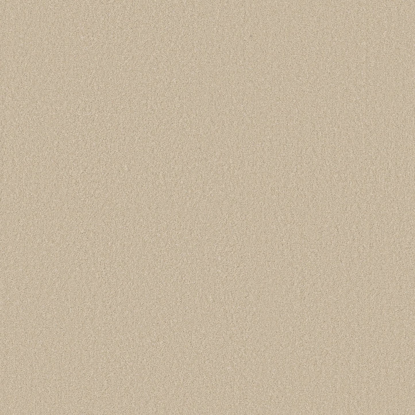 TEXTURE BCF