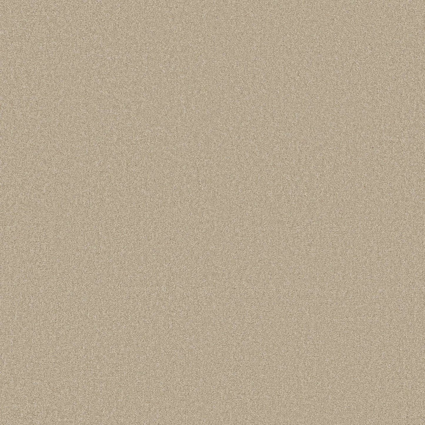 TEXTURE BCF