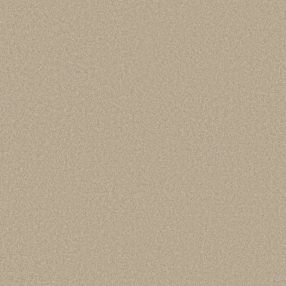 TEXTURE BCF