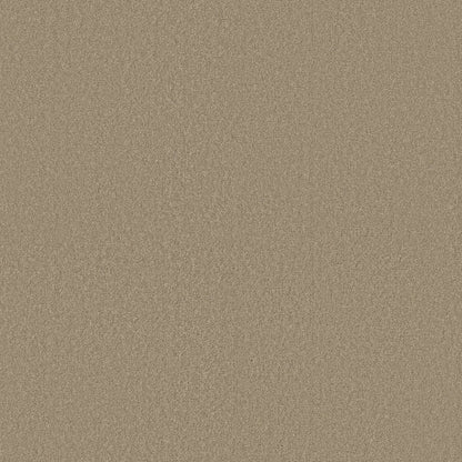 TEXTURE BCF