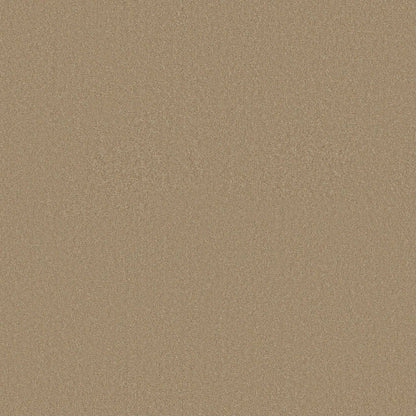 TEXTURE BCF