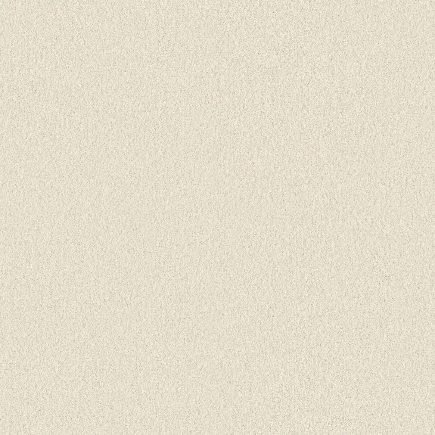 TEXTURE BCF