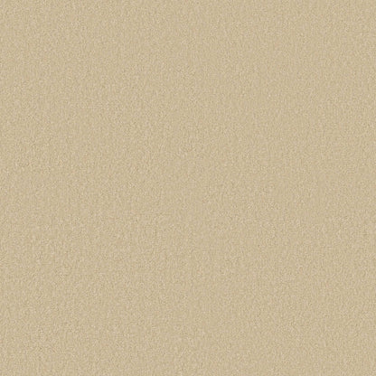 TEXTURE BCF