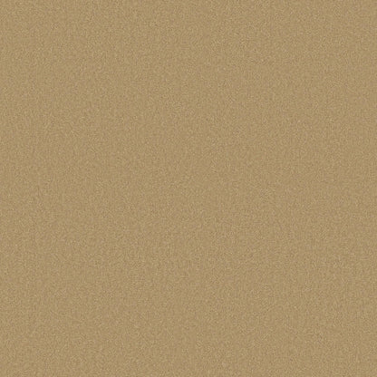 TEXTURE BCF