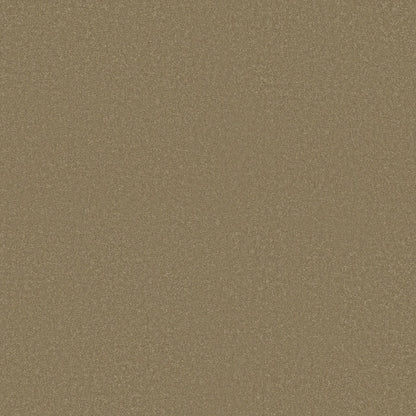 TEXTURE BCF